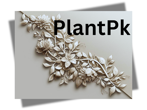 PlantsPK - Pakistan Plants Marketplace Logo
